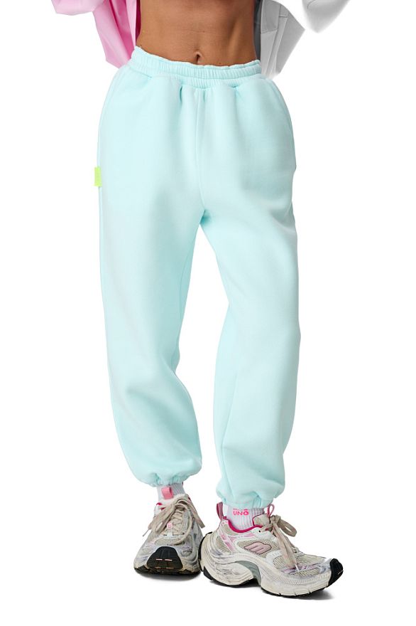 Джоггеры Минт (начёс)